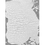 Distress Crackle paste