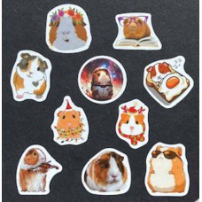 Stickers cavia