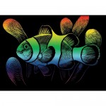 Engraving art set - Clownfish - rainbow