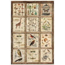 Rijstpapier Cabinet of curiosities 02