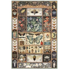 Rijstpapier Cabinet of curiosities 04