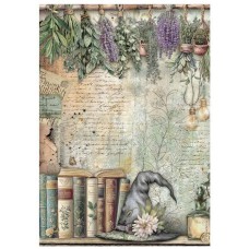 Rijstpapier A4 Herbarium silvae - books