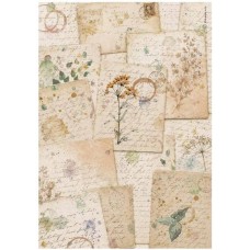Rijstpapier A4 Flowers and Poems - Botanic sheets