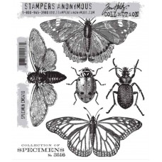 Clingstamp Specimen Clingstamp Specimen